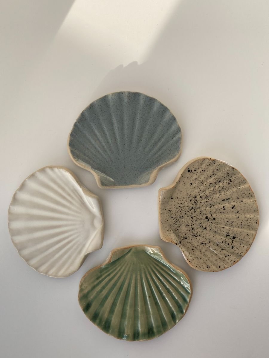 Collection de coupelles coquillage