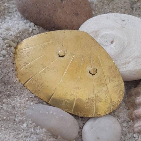 Broche coquillage . Collection Coquillages