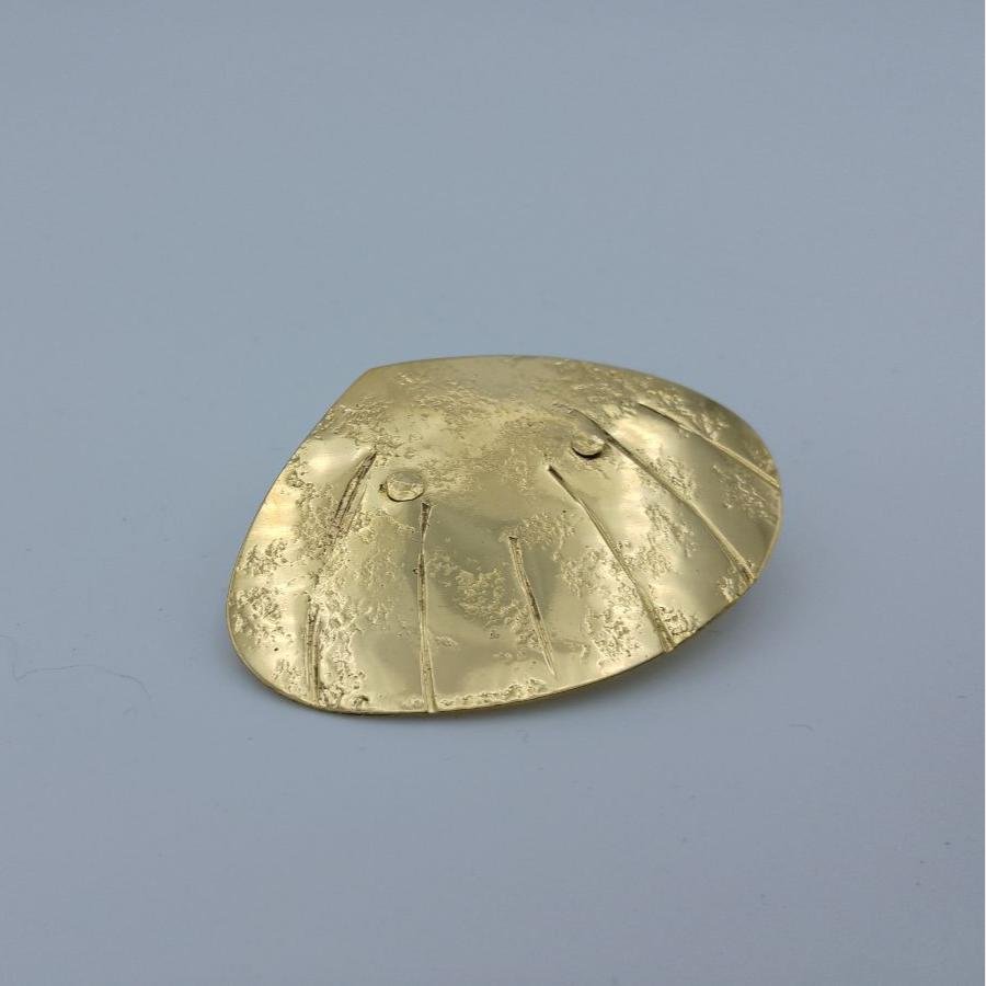 lumière sur la broche coquillage